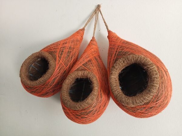 Bird Nest (বাবুই পাখির বাসা) - Image 2