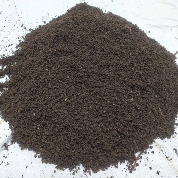 Vermicompost (ভার্মি)